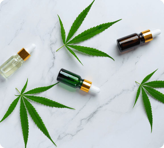 THE MODERN WAY TO SHOP CANNABIS